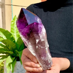 500-700g Large Amethyst Scepter Natural Crystal